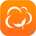 棉花IN app