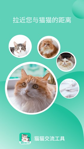 猫猫交流工具最新版(1)