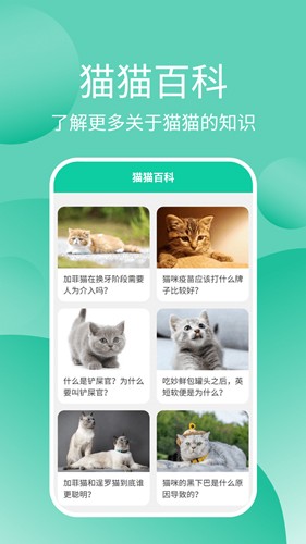 猫猫交流工具最新版(2)