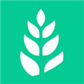 青麦安卓直装版 V1.0.1