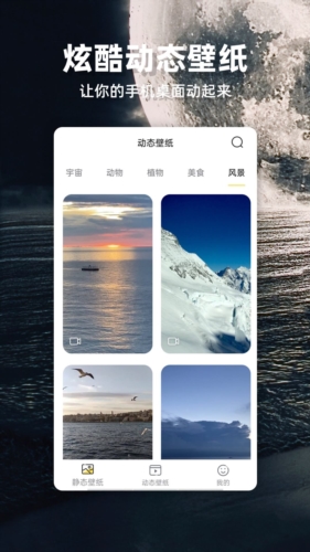 苹果壁纸安卓版图1