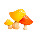蘑菇看资讯官方最新版 V0.0.1