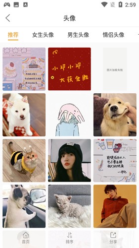 美美壁纸无广告版图1