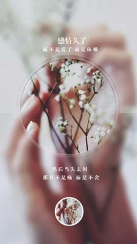 纹字主题正版