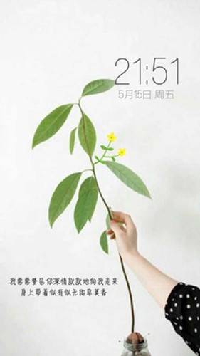 纹字主题正版