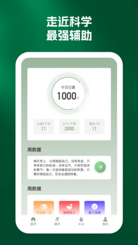 纵步计步