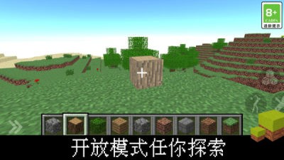 我的立方世界(3)