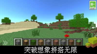 我的立方世界(1)