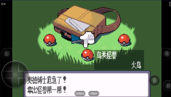口袋妖怪蓝宝石手游直装版图3
