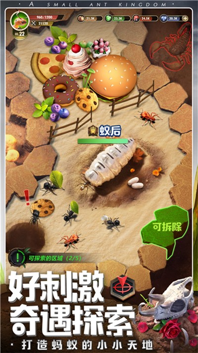昆虫星球(1)