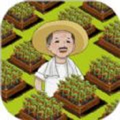 有块菜地游戏官方版