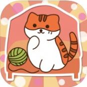 猫咪怎么这么懒