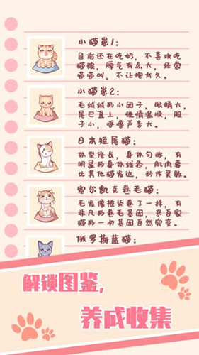 云撸猫咪最新免费版图5