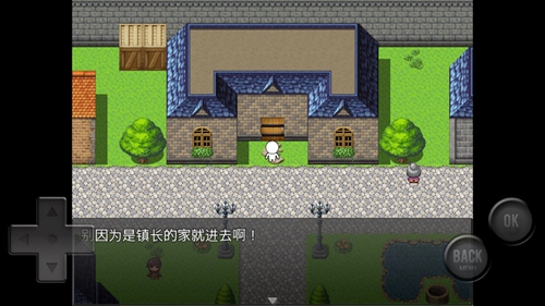 前卫的粪作RPG手游直装版图4