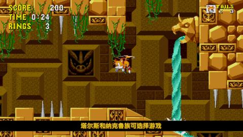 刺猬索尼克1图4