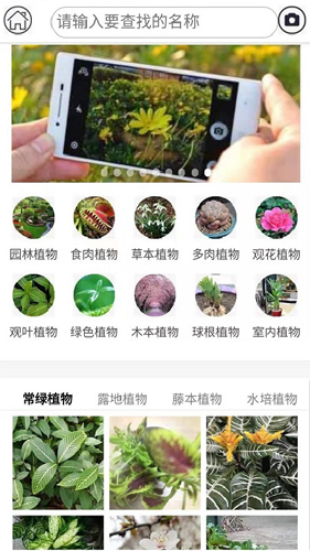 拍照识花正版图1