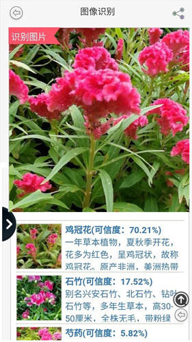 拍照识花正版图3
