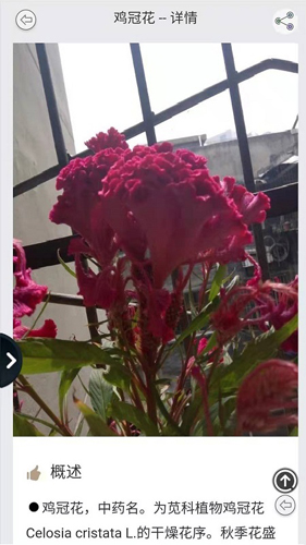 拍照识花正版图4