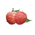 增城泊车通用版 V1.5.8