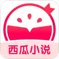 西瓜小说app