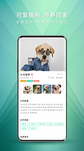 麦道app