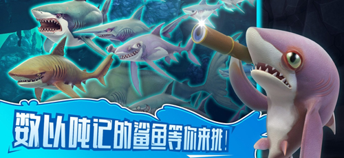 Hungry Shark Word图2