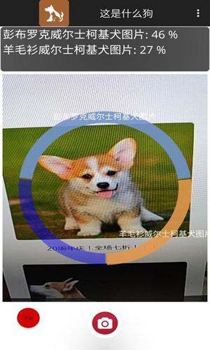 这是什么狗通用版图3