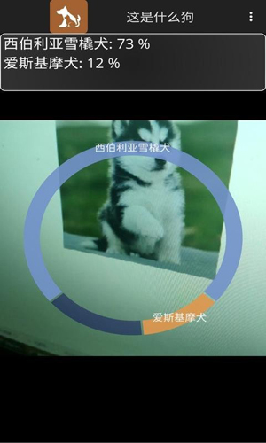 这是什么狗通用版图5
