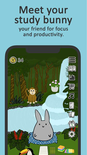 study bunny官方版图4