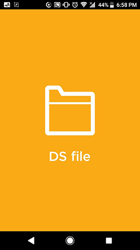 DS file(1)