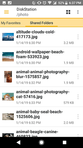 DS file(2)