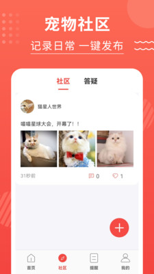 猫猫翻译器手机版(5)