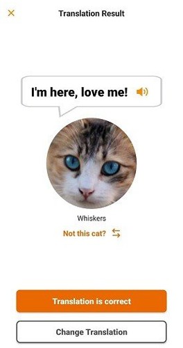 喵说官方正版图1