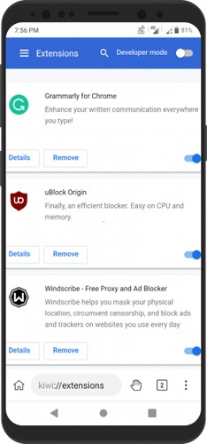KiwiBrowser官方最新版图2