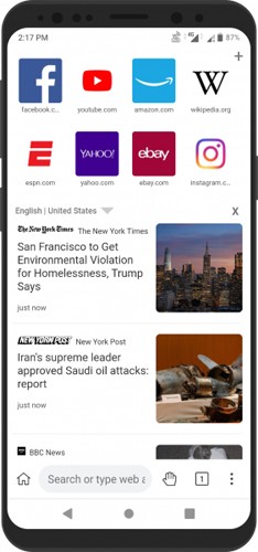 KiwiBrowser官方最新版图3
