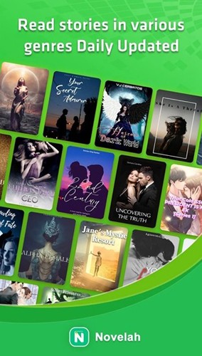 NovelahApp直装版图1