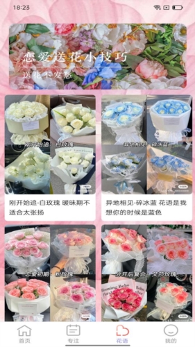 百花步数图4