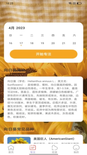 百花步数图3