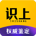 识上最新免费版
