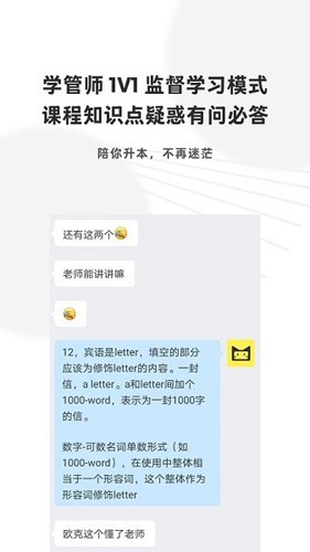 升本猫图1