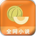 甜瓜小说阅读安卓官方版