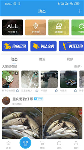 重庆钓鱼网安卓版图3