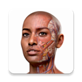 completeanatomy手机免费版