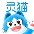 灵猫直装版