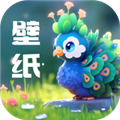 孔雀壁纸最新版