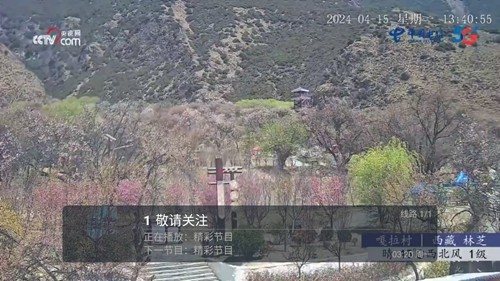 春盈天下手机最新版(3)