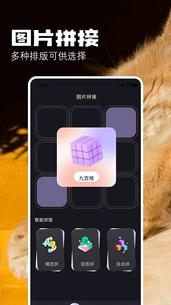 布偶相机app图3