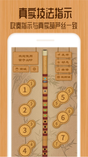 笛子图5