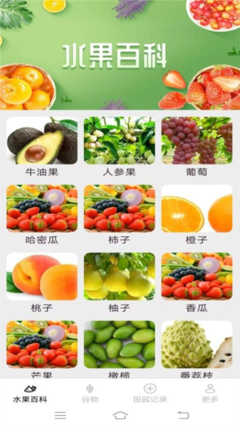 掌上果果多官方版图2