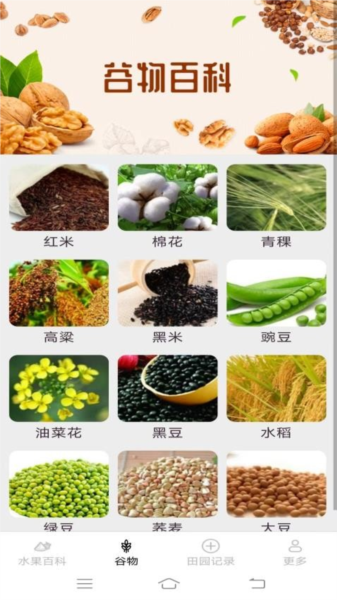 掌上果果多官方版图1